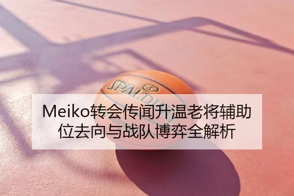 Meiko转会传闻升温老将辅助位去向与战队博弈全解析
