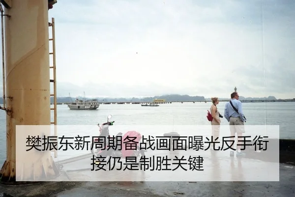 樊振东新周期备战画面曝光反手衔接仍是制胜关键