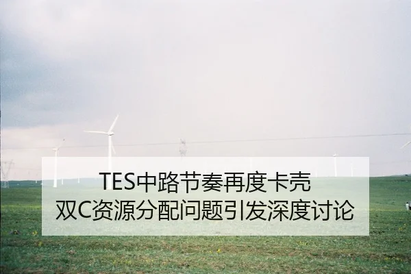 TES中路节奏再度卡壳 双C资源分配问题引发深度讨论
